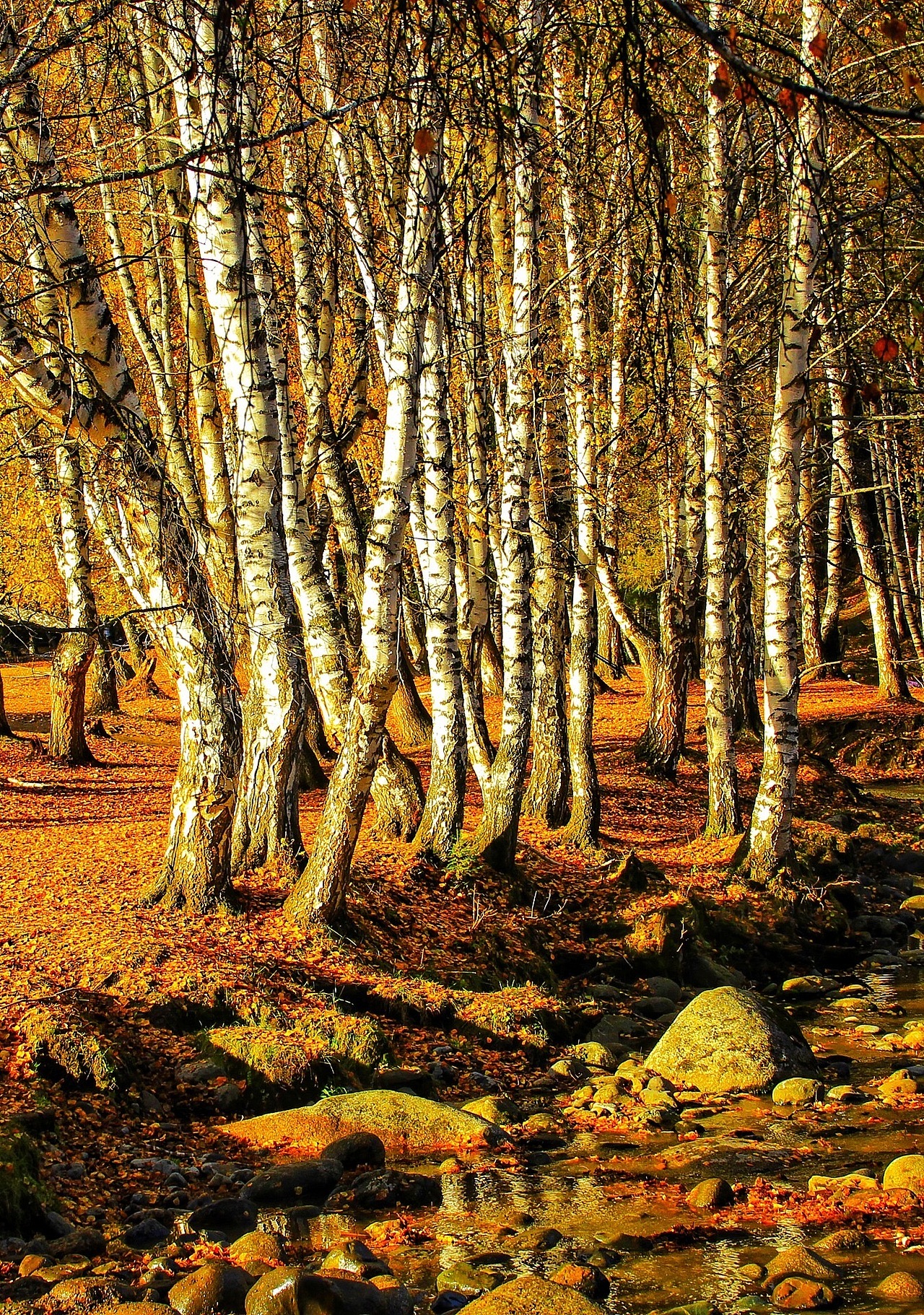 新疆禾木村（图ZMzE2NjU3MDEy） - 风光摄影 - 站酷设计师李墨尘原创素材 - 站酷ZCOOL