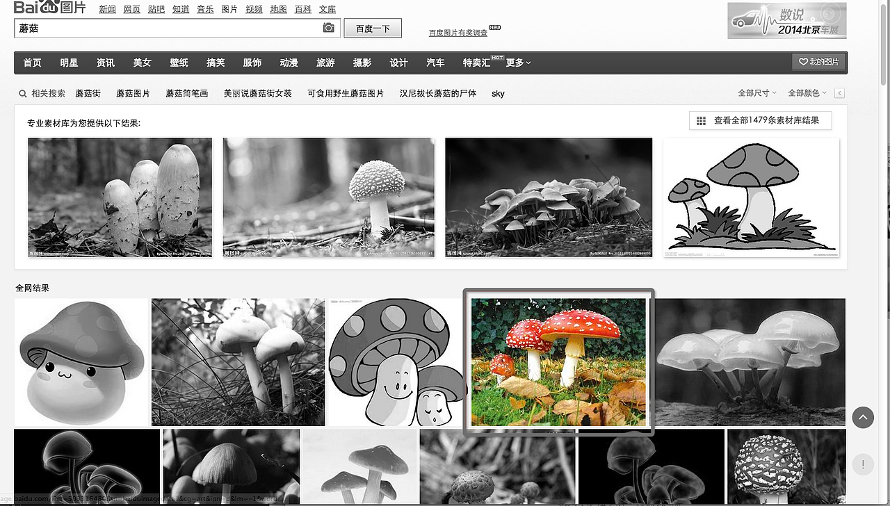 首先起线稿,百度一下毒蘑菇的图