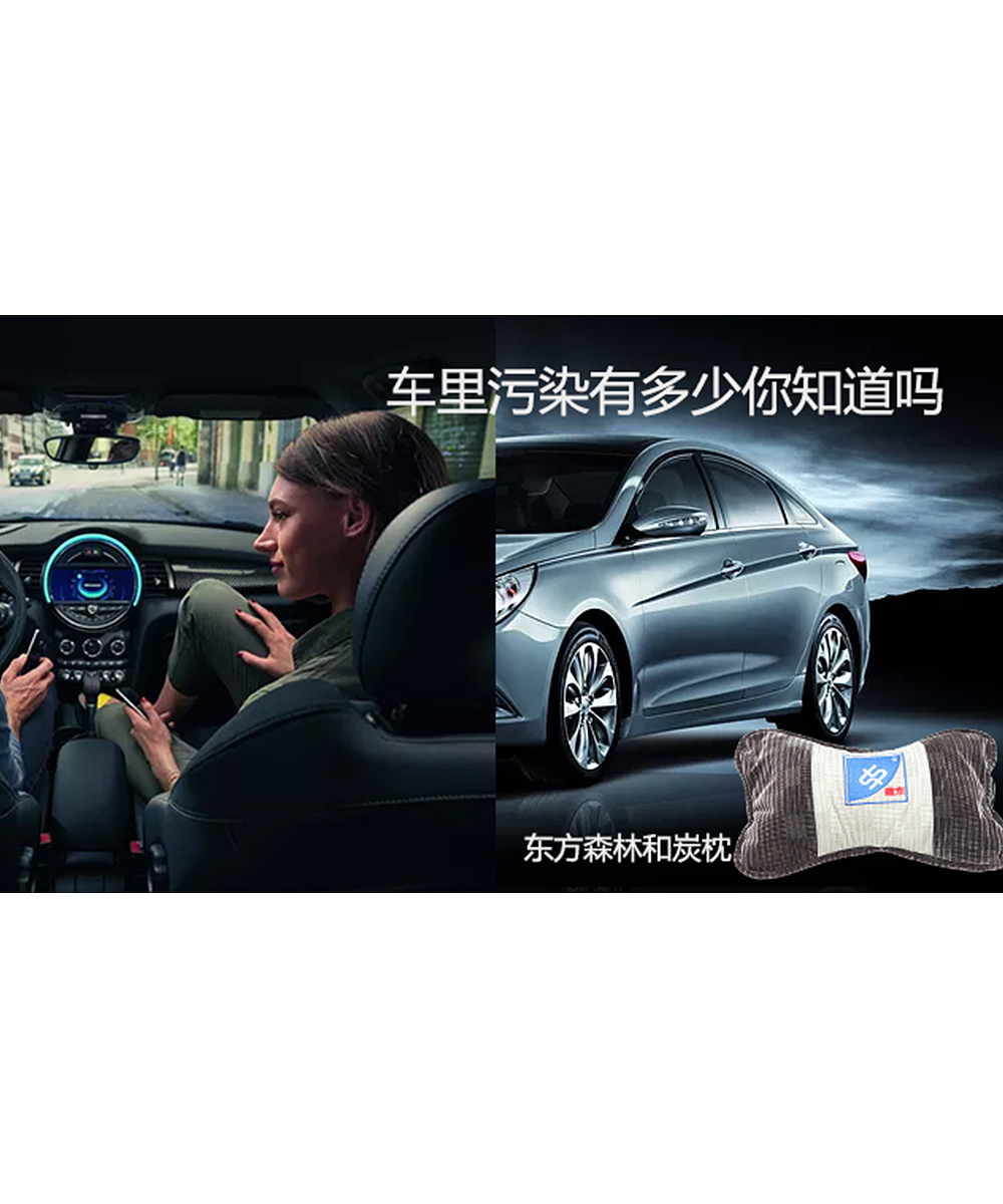 东方森林和炭枕（图ZOTE1Nzk0MDg=） - 生活用品 - 站酷设计师平凡又压抑又无奈原创素材 - 站酷ZCOOL