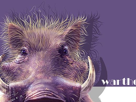 动物插画-荒漠猫、疣猪