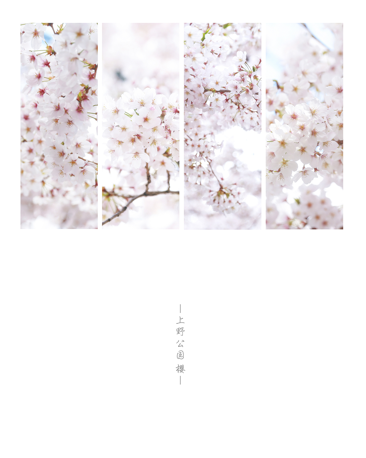 东京（图ZNzcxOTkxNTI=） - 风光摄影 - 站酷设计师设计师AKIKO原创素材 - 站酷ZCOOL