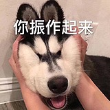 遛哩哩的头像