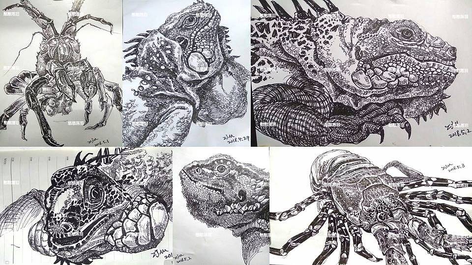 2020雜燴總結(jié)4（圖ZMjM5MTM4NTE2） - 繪畫 - 站酷設(shè)計(jì)師憨憨落淚原創(chuàng)素材 - 站酷ZCOOL