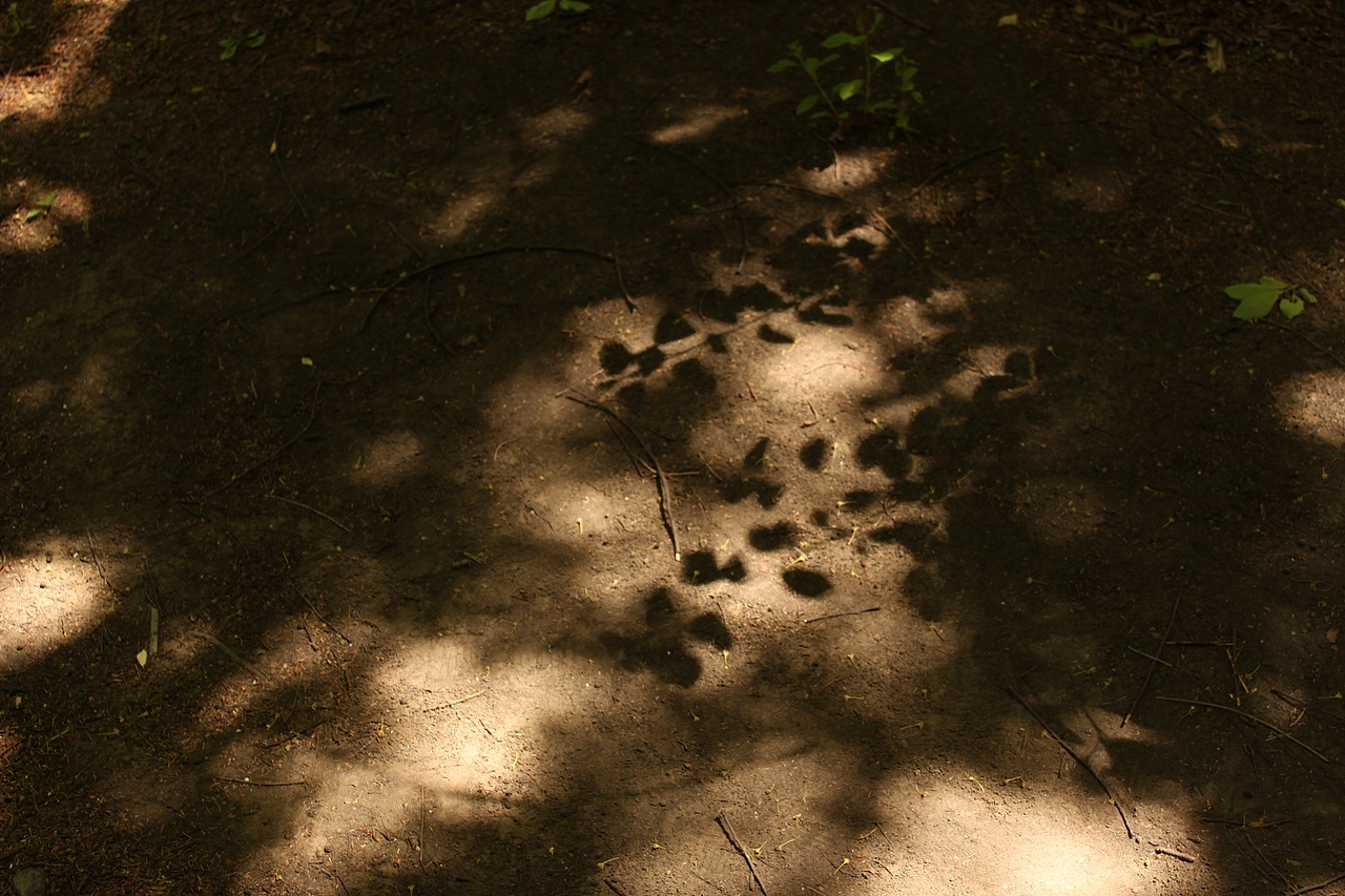 色彩印象·长春