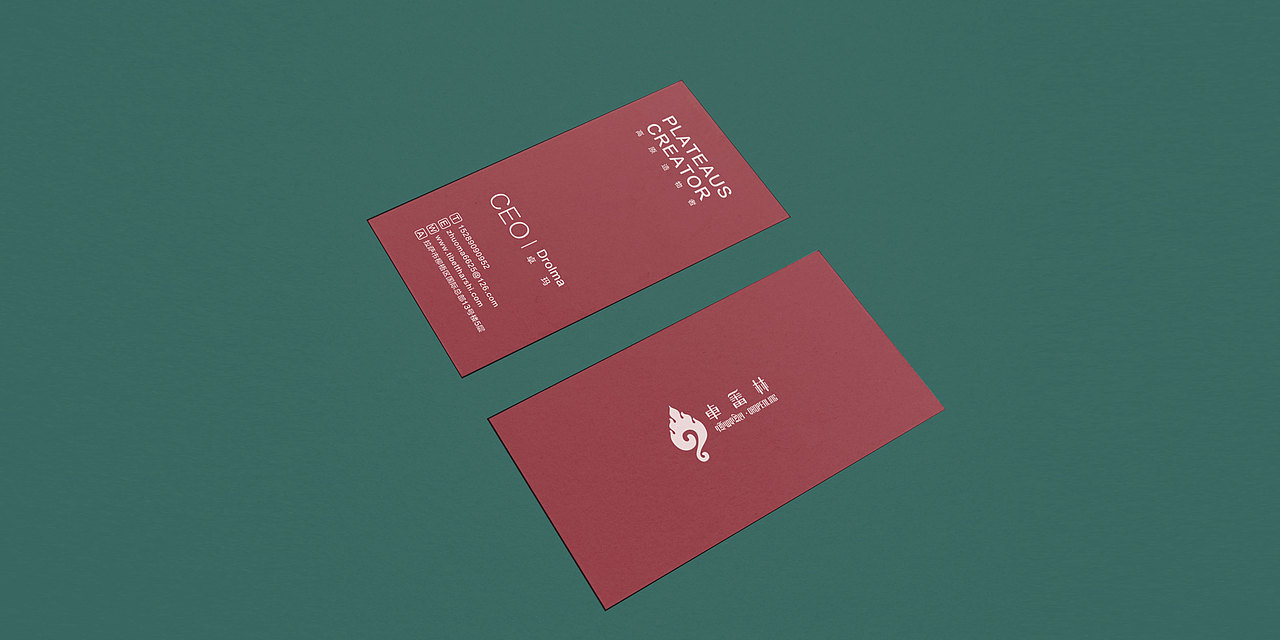 卓番林品牌形象设计Dropenling Visual Identity