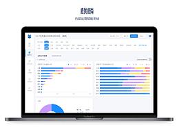 内部数据运营系统平台