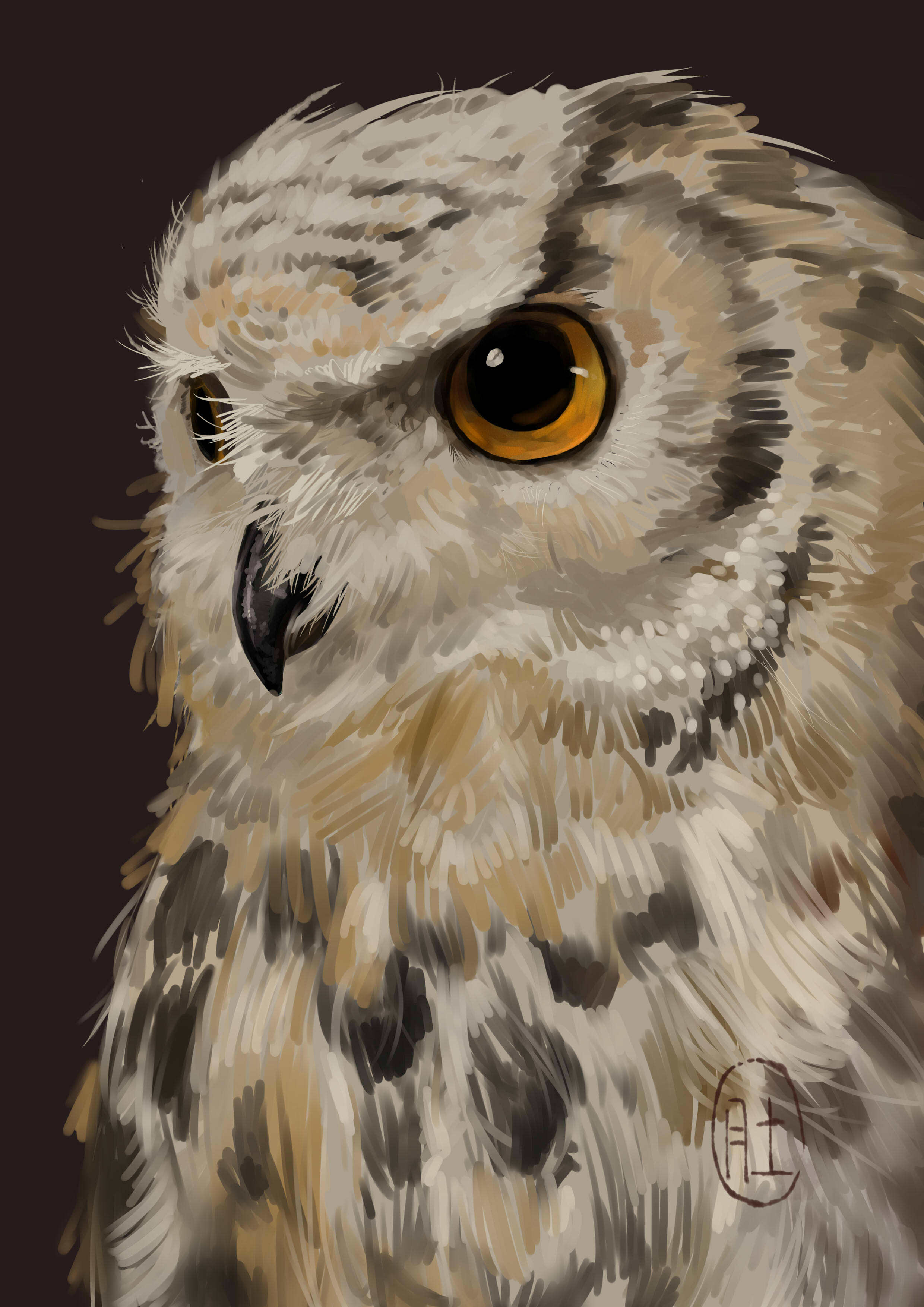 一只猫头鹰|插画|插画习作|黄肚肚 - 原创作品 - 站酷 (zcool)