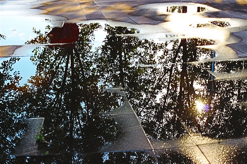 摄影—《留影系列》