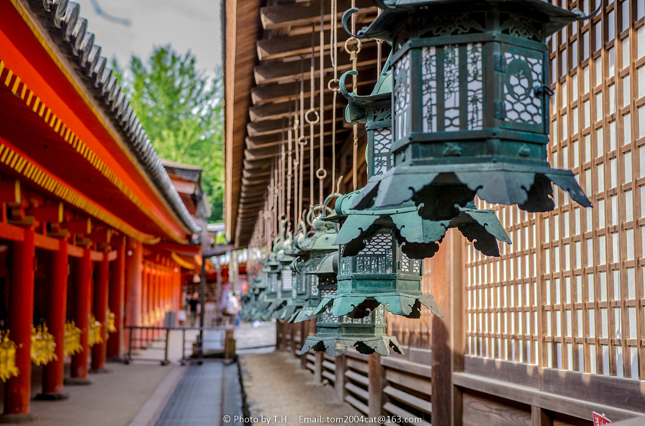 奈良公园春日大社