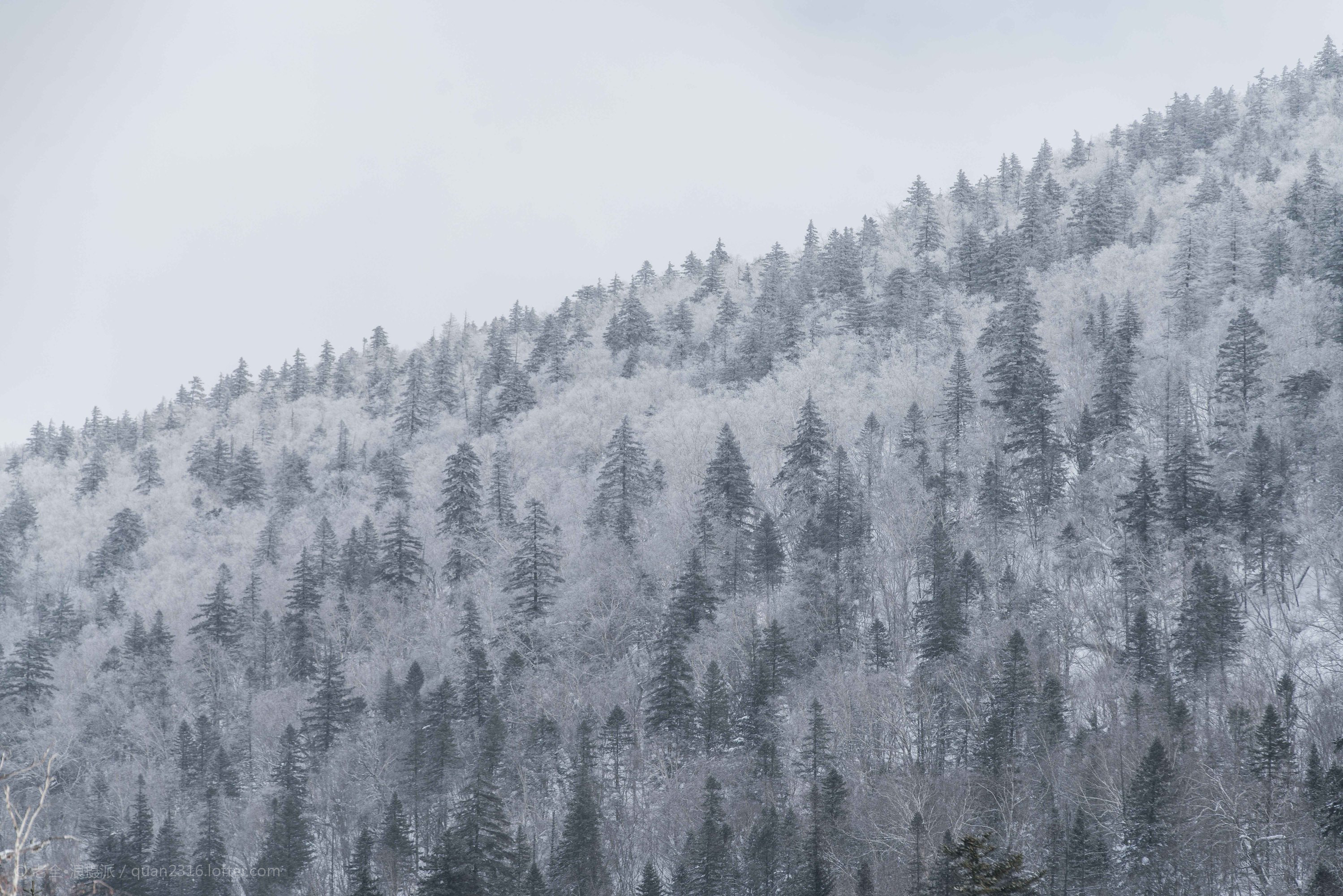 百危的個人主頁（封面預(yù)覽） - 主頁封面設(shè)置 - 站酷設(shè)計師百危原創(chuàng)素材 - 站酷ZCOOL