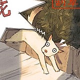 夏讯的头像