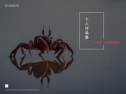 个人作品集