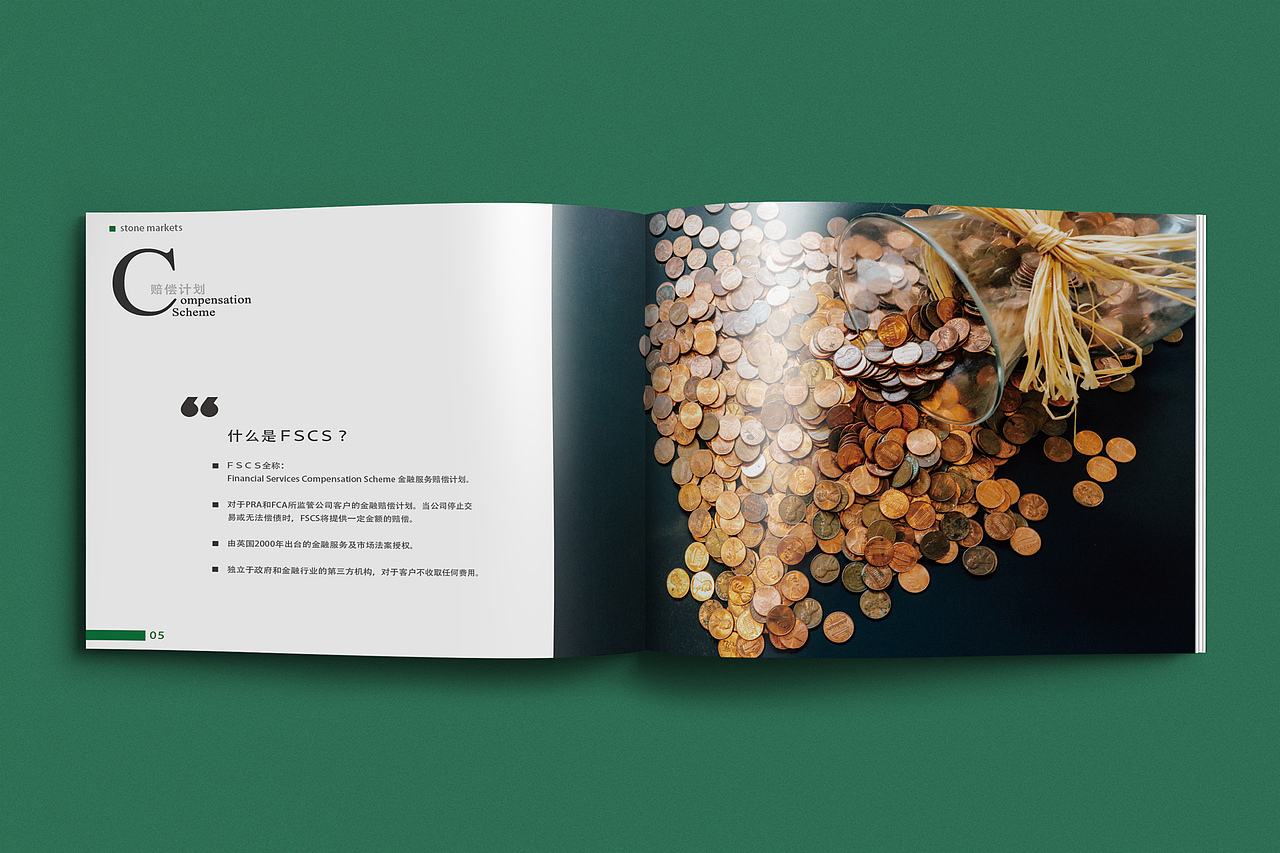 世通外汇画册设计