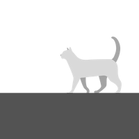 超级玉的个人主页（背景预览） - 主页背景设置 - 站酷设计师超级玉原创素材 - 站酷ZCOOL