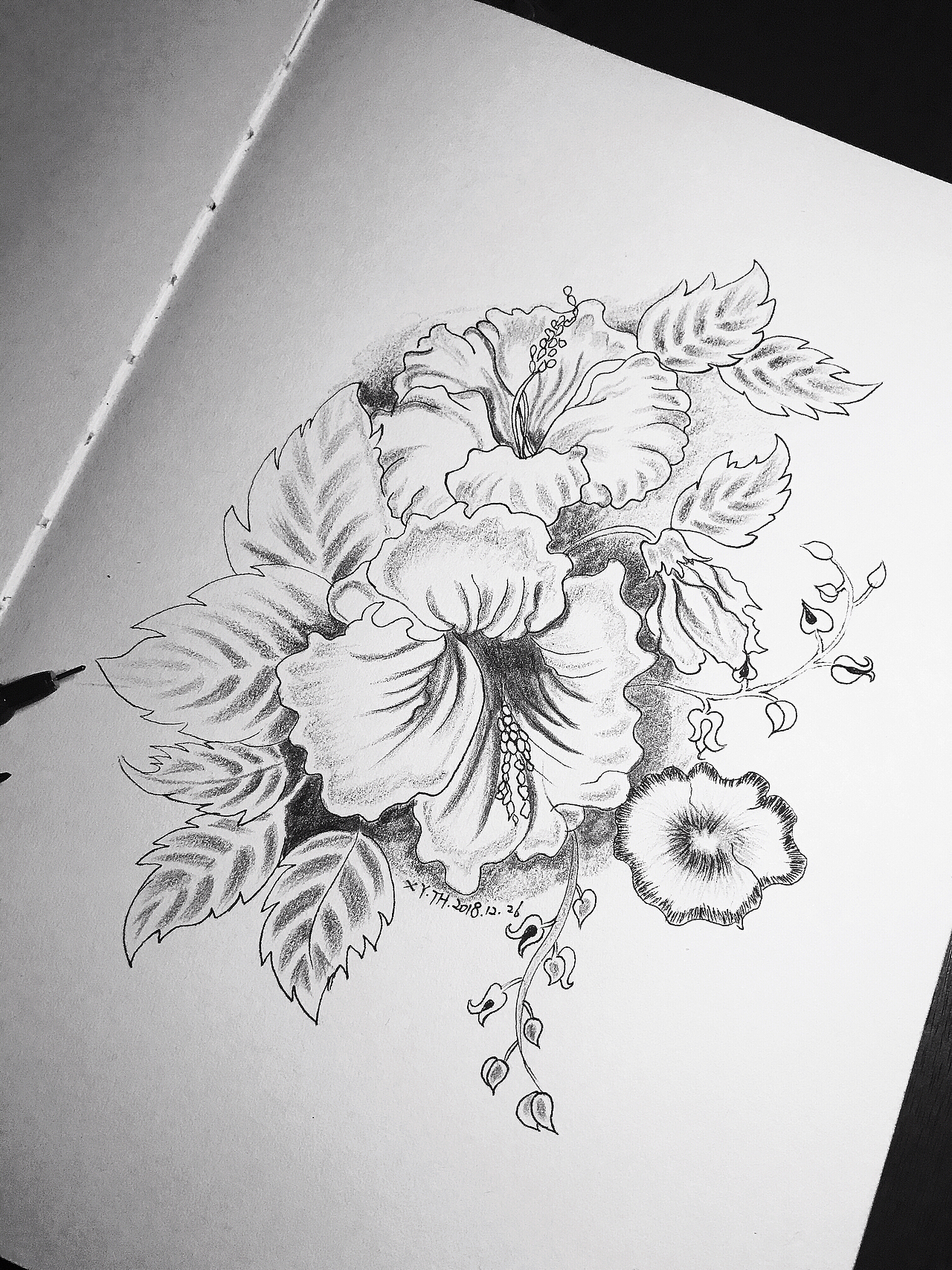 彩铅，针管笔作品【三】（图ZMTY0MDUwMjA0） - 创作习作 - 站酷设计师英子手绘插画控原创素材 - 站酷ZCOOL