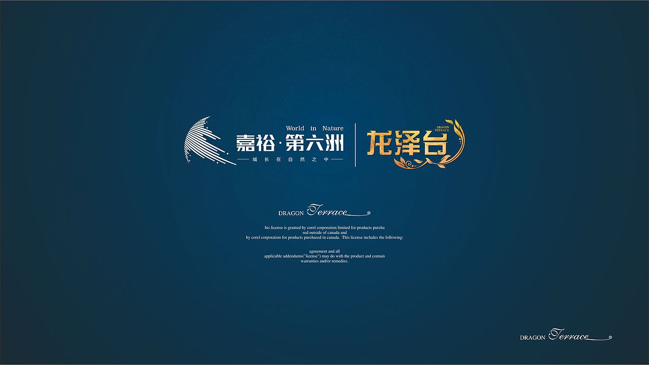 龙泽台 | 房地产品牌VIS