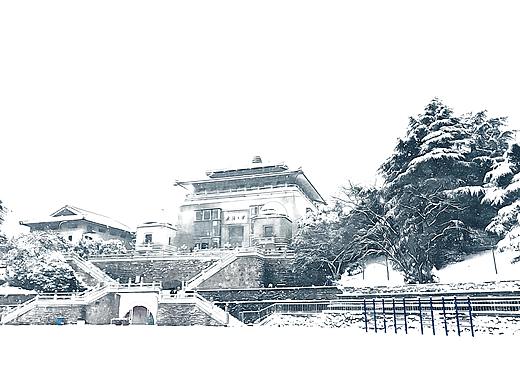 摄影作品集｜武汉大学｜珞珈·大雪