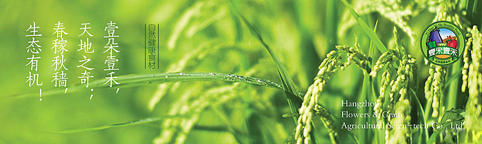 达度文化创意团队-杭州壹朵壹禾农业科技有限公司（图ZMTc3NzI1MTY=） - 包装 - 站酷设计师悟设原创素材 - 站酷ZCOOL