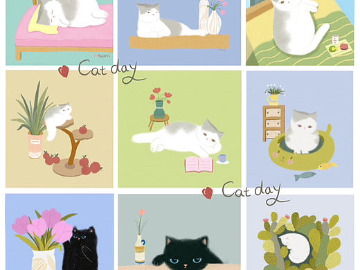 可爱猫猫合集