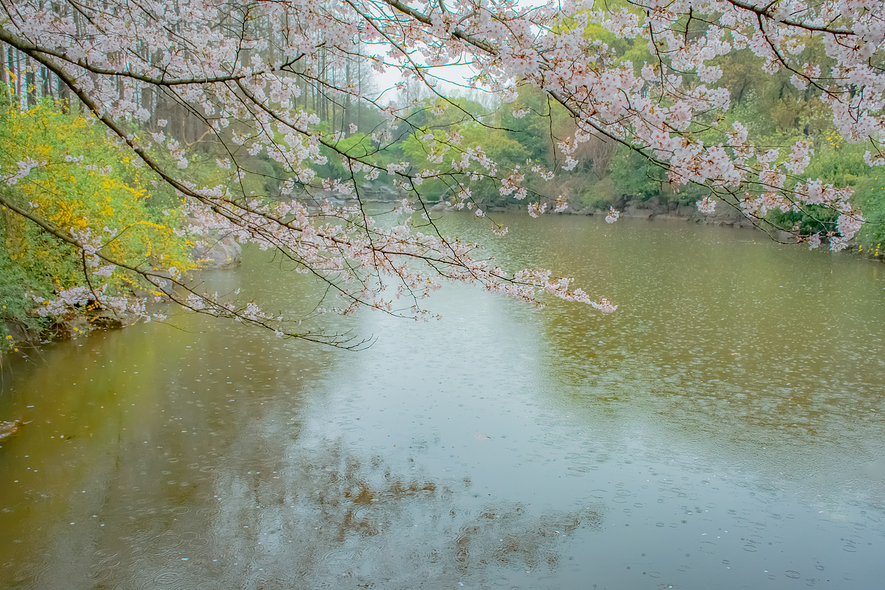 疫情下的植物园