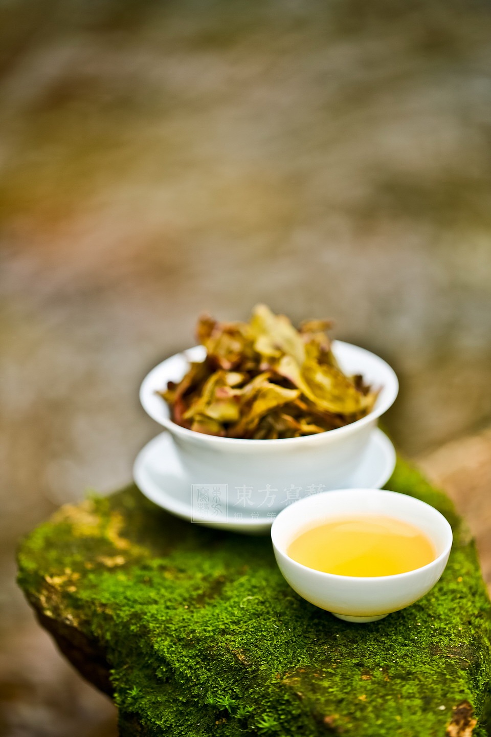 【东方写艺】淘宝产品摄影-漳平水仙有机茶 外景拍摄