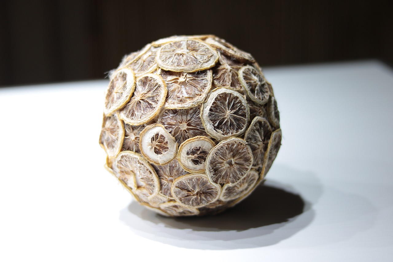 大学日常摄影作品