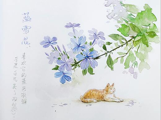 肥橘醉花荫