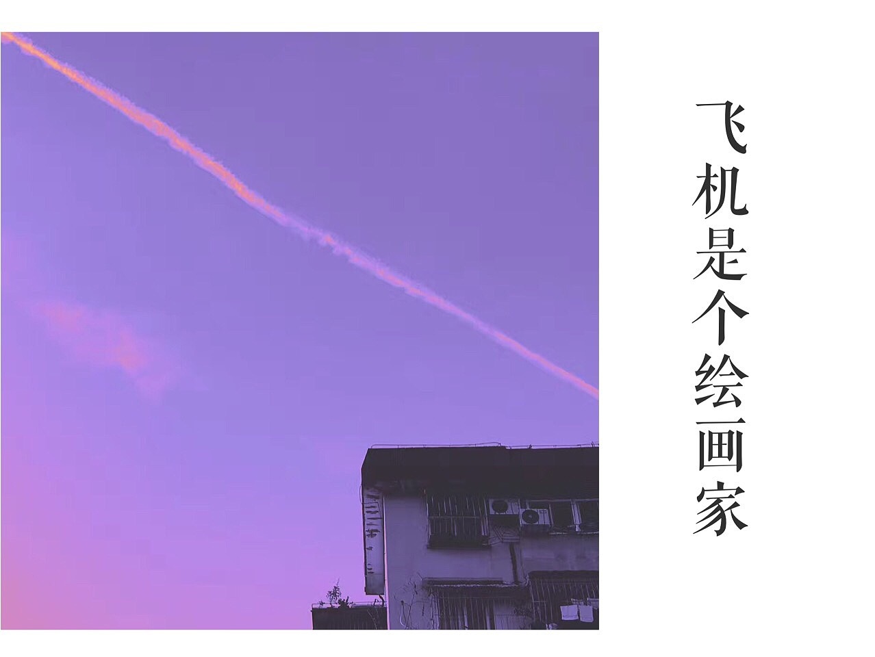《2017年11月手机摄影精选》