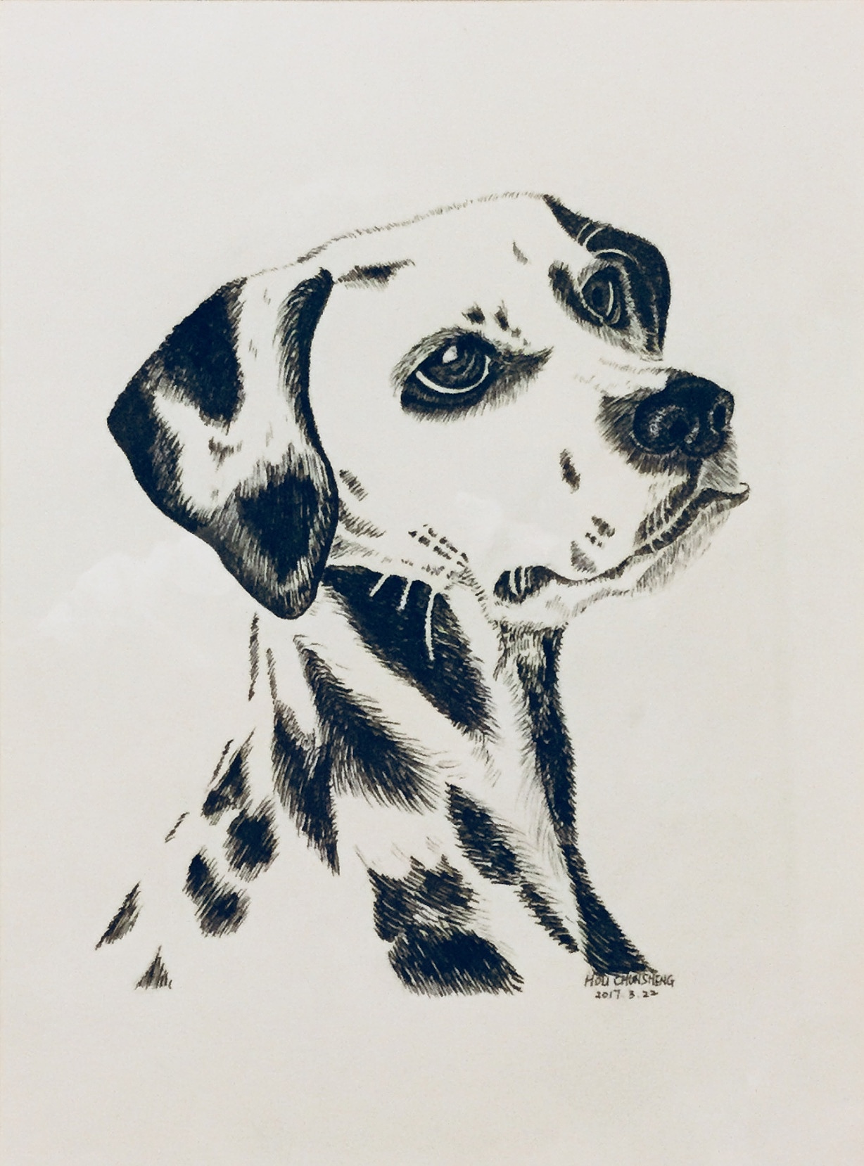 斑点狗|纯艺术|绘画|z22783893_临摹作品-站酷zcool