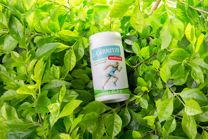 营养保健×左旋肉碱减肥详情页设计