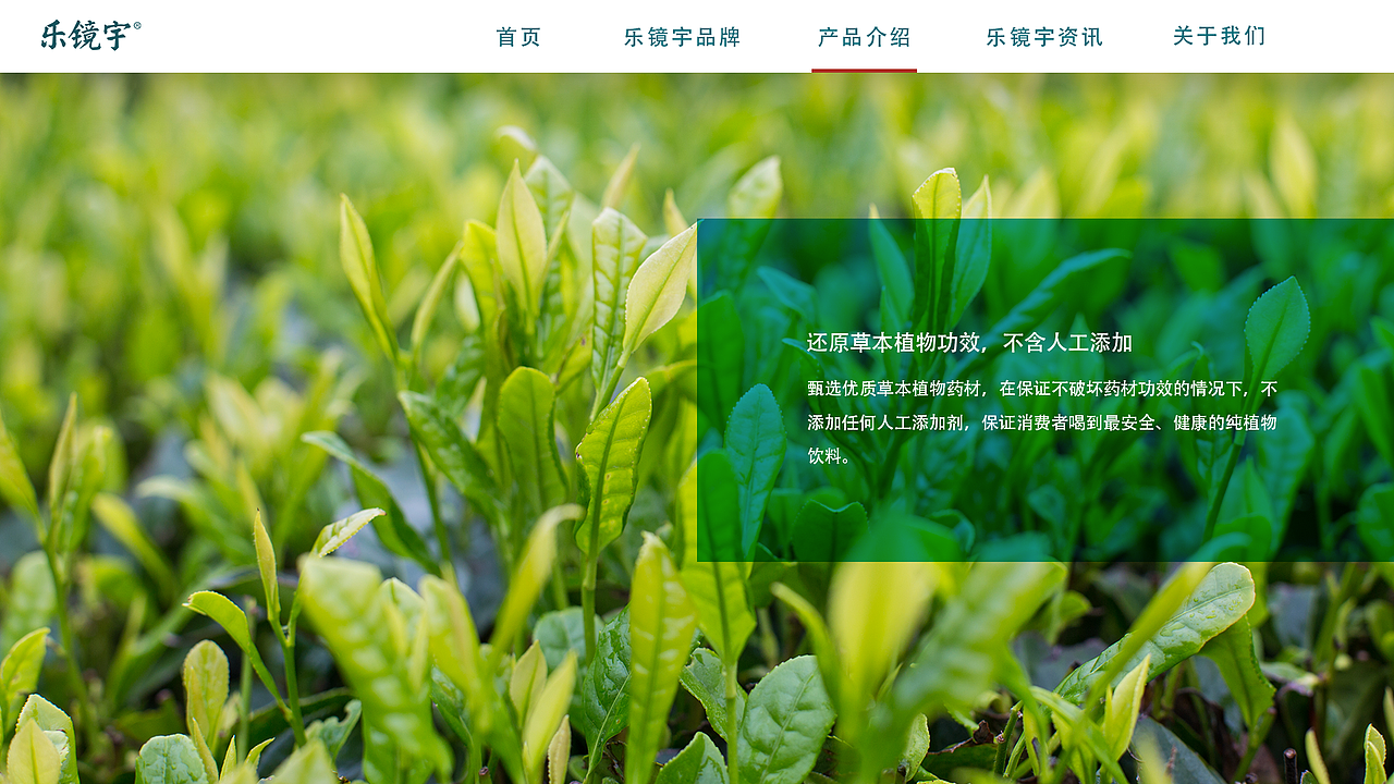 樂鏡宇肺露網站設計（圖ZMTU3NDI3ODU2） - 企業(yè)官網 - 站酷設計師野格bomb原創(chuàng)素材 - 站酷ZCOOL