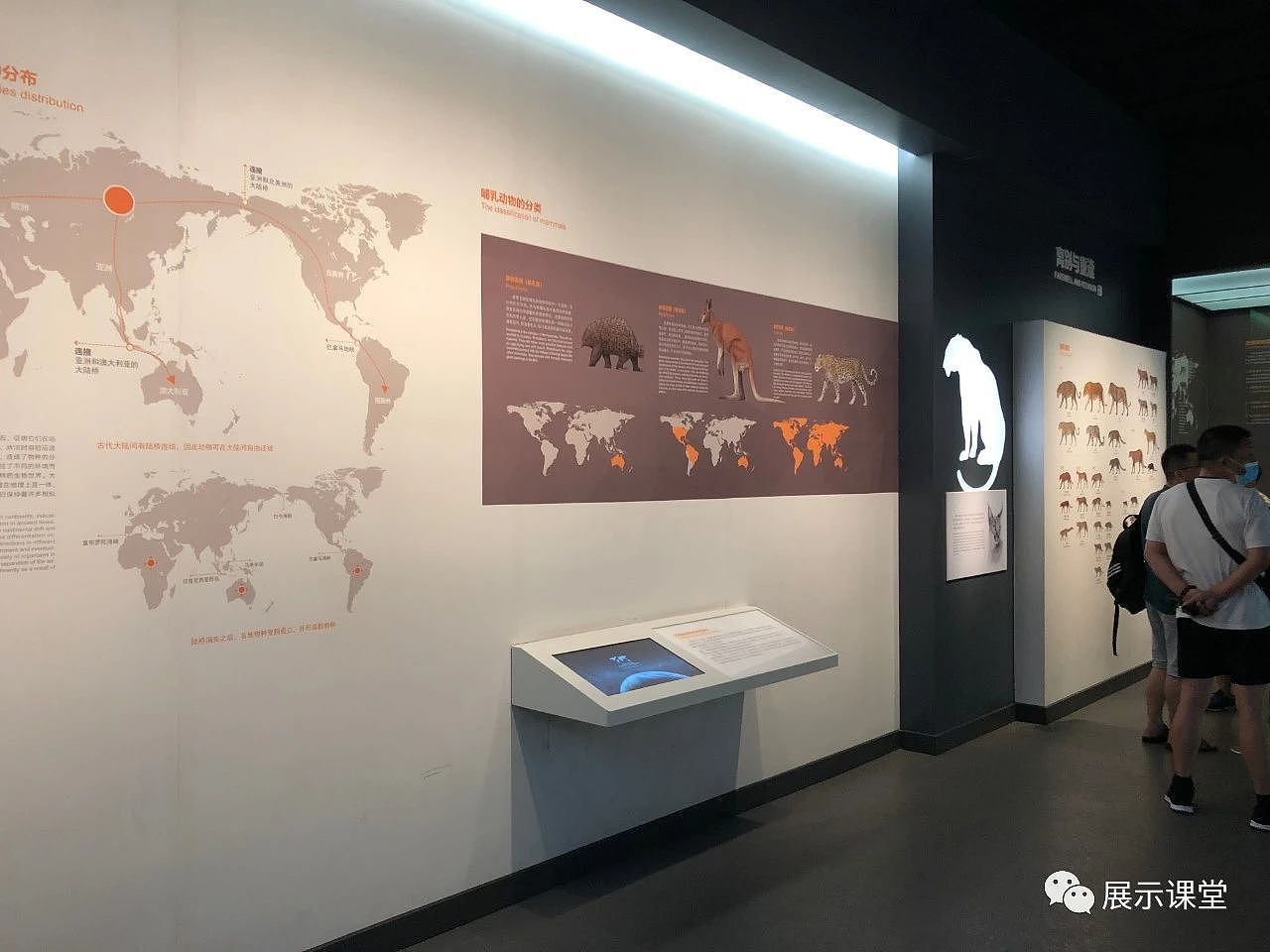 展厅设计/展馆/浙江自然博物院安吉馆（图ZMjg4MzMxODIw） - 展陈设计 - 站酷设计师展示课堂原创素材 - 站酷ZCOOL