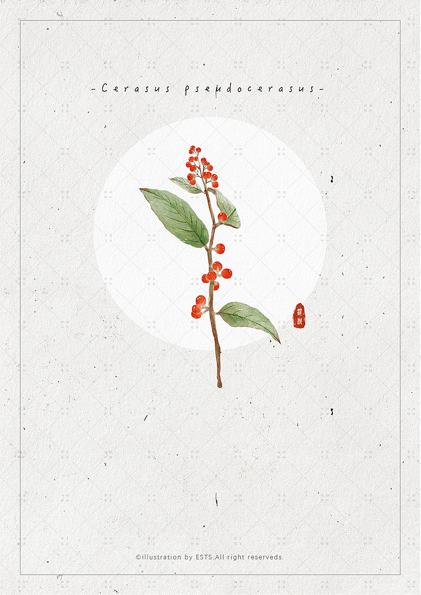 那些花儿-肆（图ZMTM3OTQwMDMy） - 创作习作 - 站酷设计师ESTS原创素材 - 站酷ZCOOL