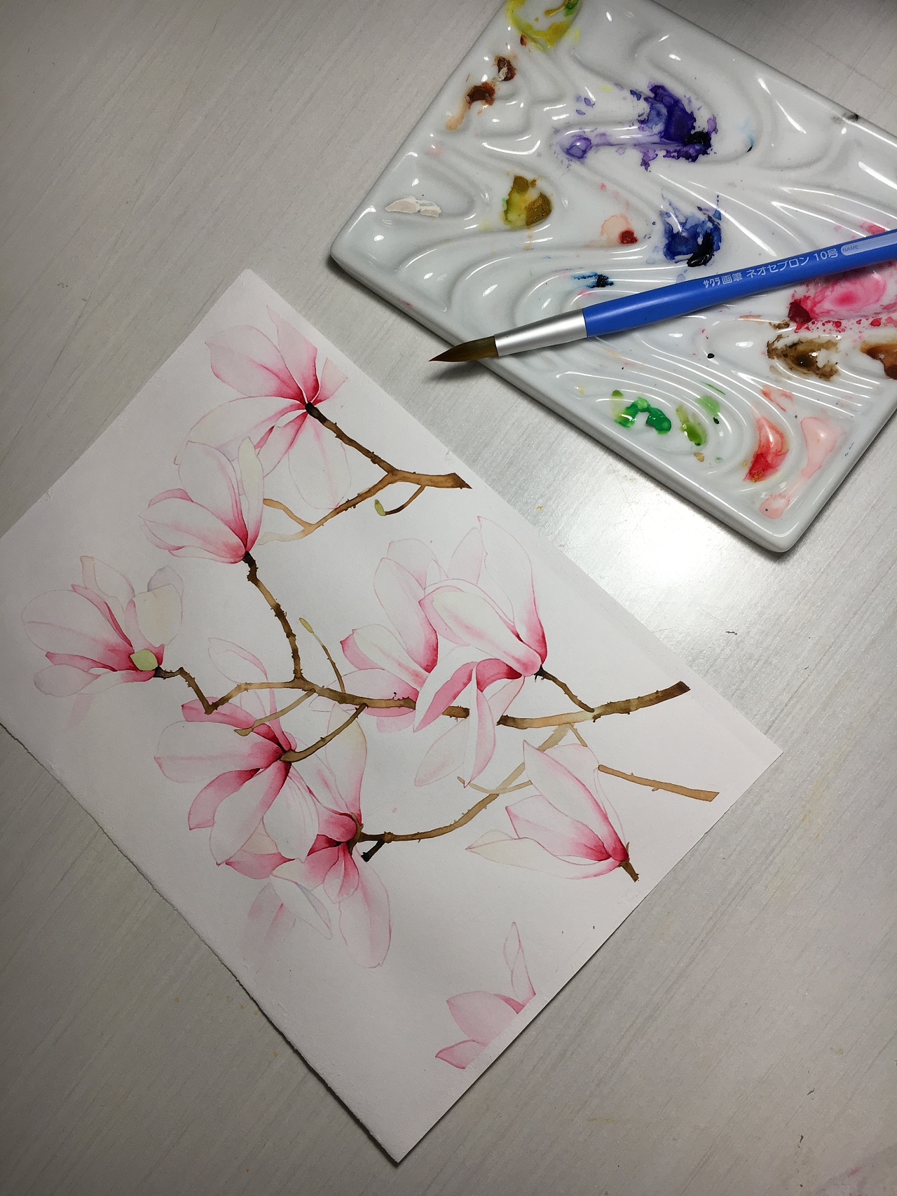 玉兰花水彩手绘