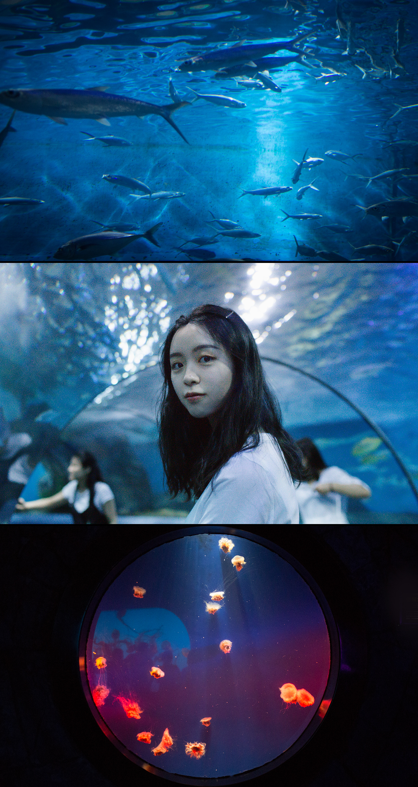 夏天和小马逛海洋馆|摄影|人像|shireenphoto - 原创作品 - 站酷