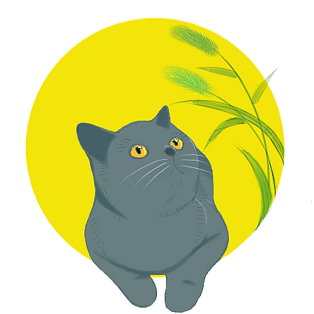 猫咪（图ZMTA0MjQxMDAw） - 艺术插画 - 站酷设计师曲辰nong原创素材 - 站酷ZCOOL
