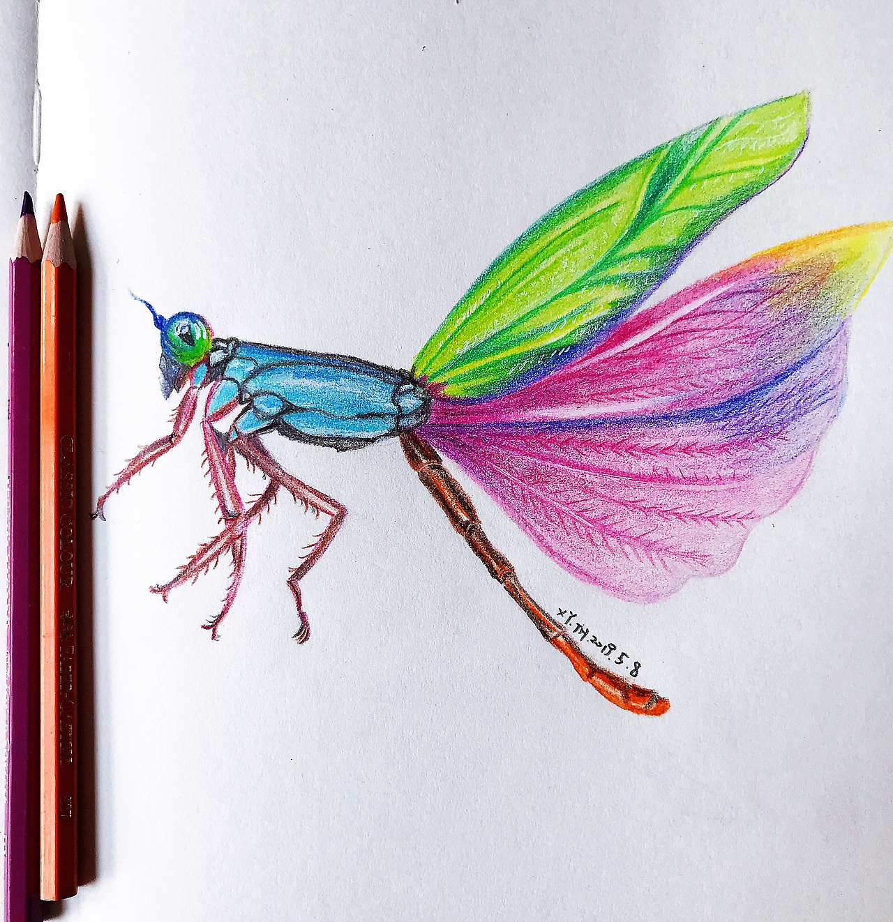 彩铅，针管笔作品【五】（图ZMTY1Nzk3ODQw） - 创作习作 - 站酷设计师英子手绘插画控原创素材 - 站酷ZCOOL