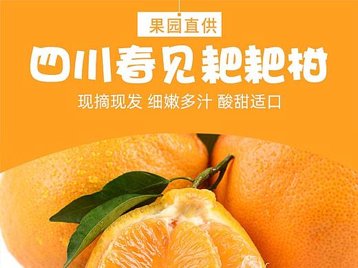 水果详情-耙耙柑