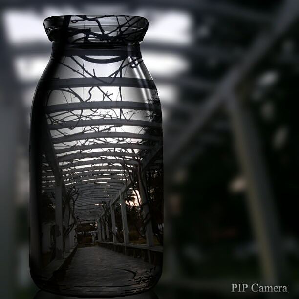 那一年，我的校园，我们的月亮岛