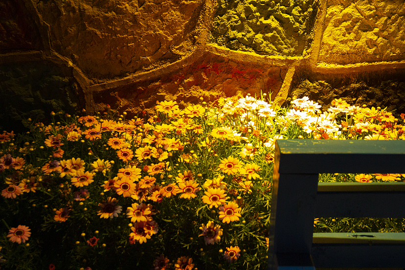 [人像摄影]丽江（图ZMzY1OTA1MTQ0） - 人像摄影 - 站酷设计师达芬嘻原创素材 - 站酷ZCOOL