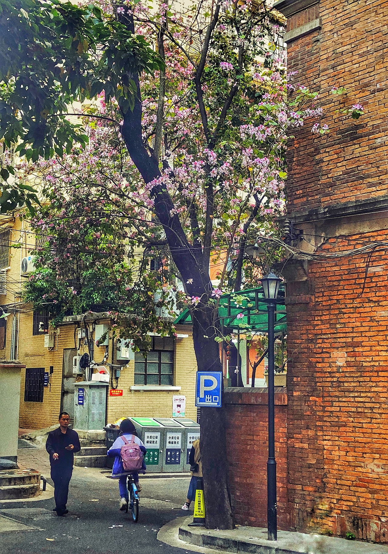 随便拍拍（图ZMjY0NjQ0NTk2） - 其他摄影 - 站酷设计师墙仔原创素材 - 站酷ZCOOL