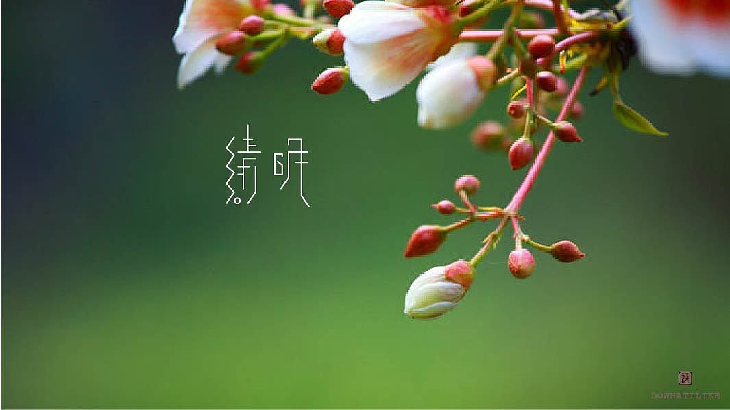 《第十一期》二十四节气