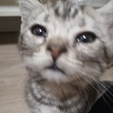 墨鱼丝的头像