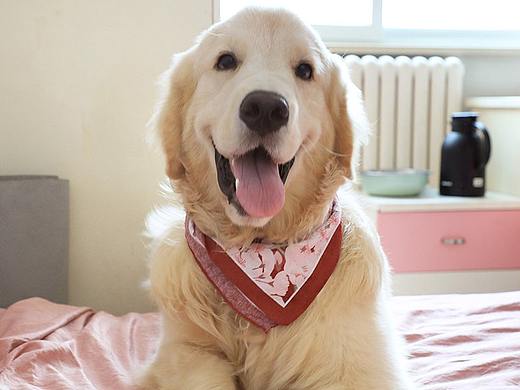 秋天的第一组照片