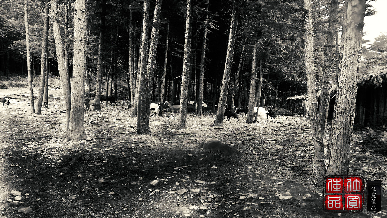 20160318_黑白摄影（图ZNDQ1Mzg4MTY=） - 修图/后期 - 站酷设计师仕宽佳品原创素材 - 站酷ZCOOL