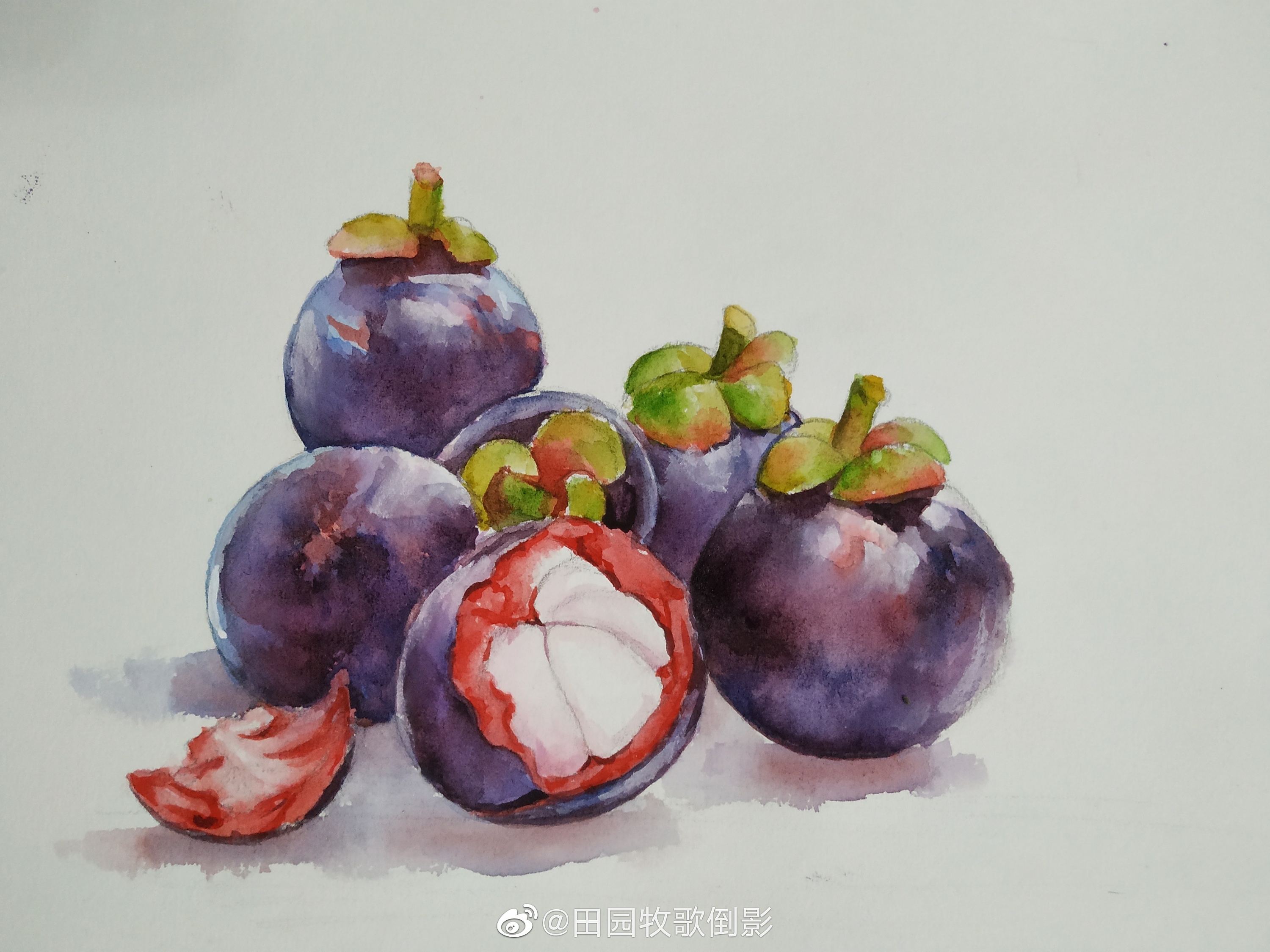 山竹,美味的水果