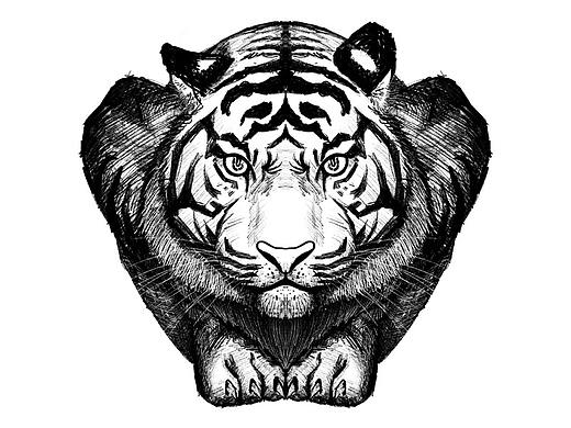 虎年大吉（个人主页-ZNTcxMTYwNDQ=） - 创作习作 - 站酷设计师叫我东子dz原创素材 - 站酷ZCOOL