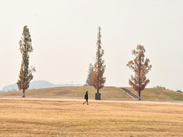 杭州良渚摄影秋天动画世界