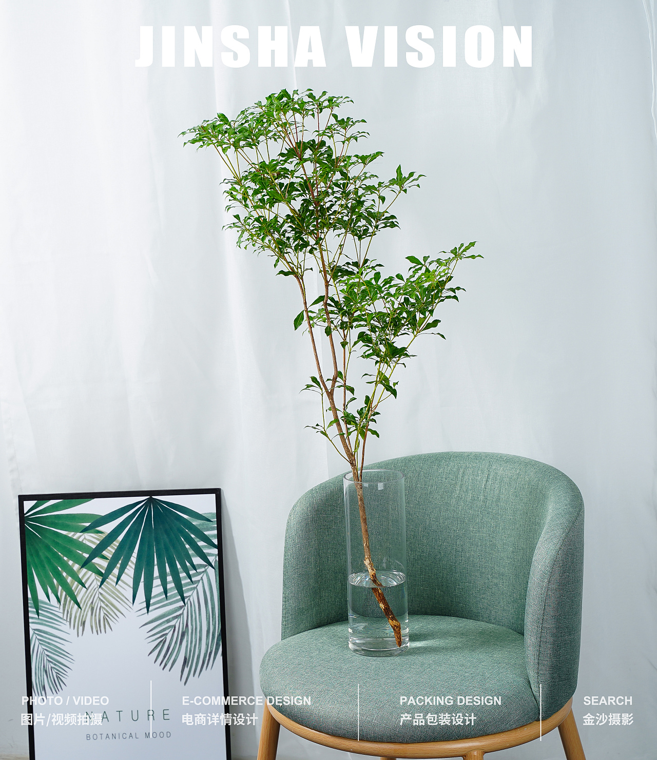 马醉木桌面水培马醉木枝条