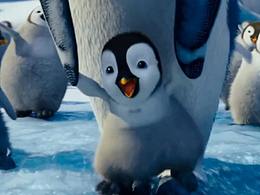 生日创意视频 周岁开场提示视频制作 搞笑生日短片头